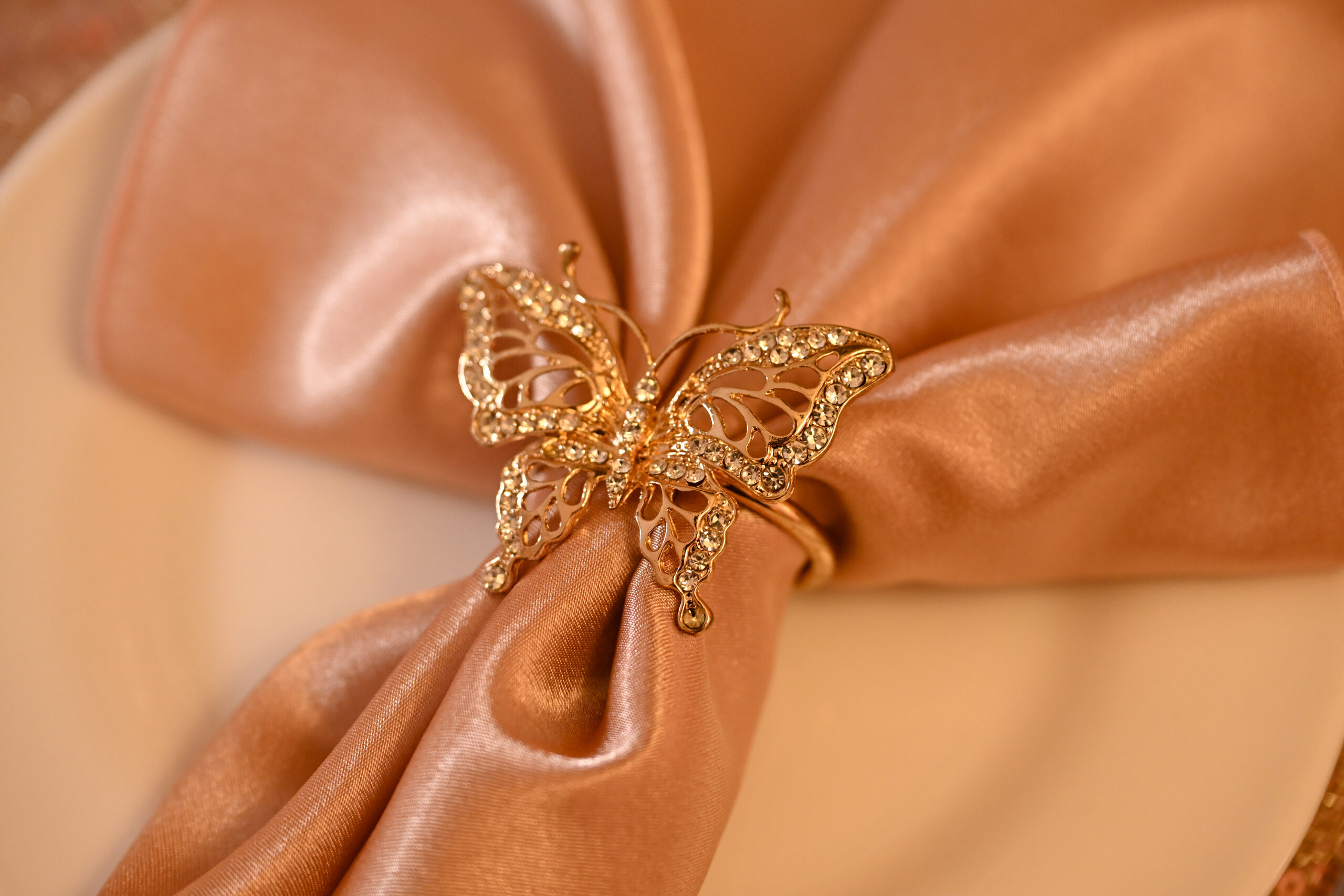 A blush satin napkin gathered in a crystal butterfly ring